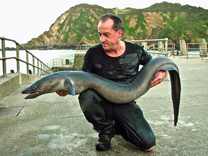 Bristol Channel Shore Caught Record Conger Eel of 43lb