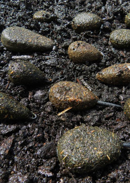 Lakebed Leads Products